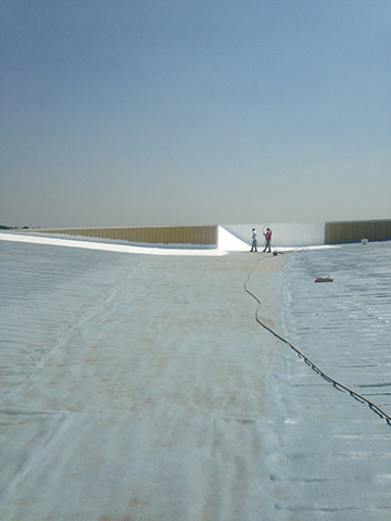 Commercial Roof Restoration Project